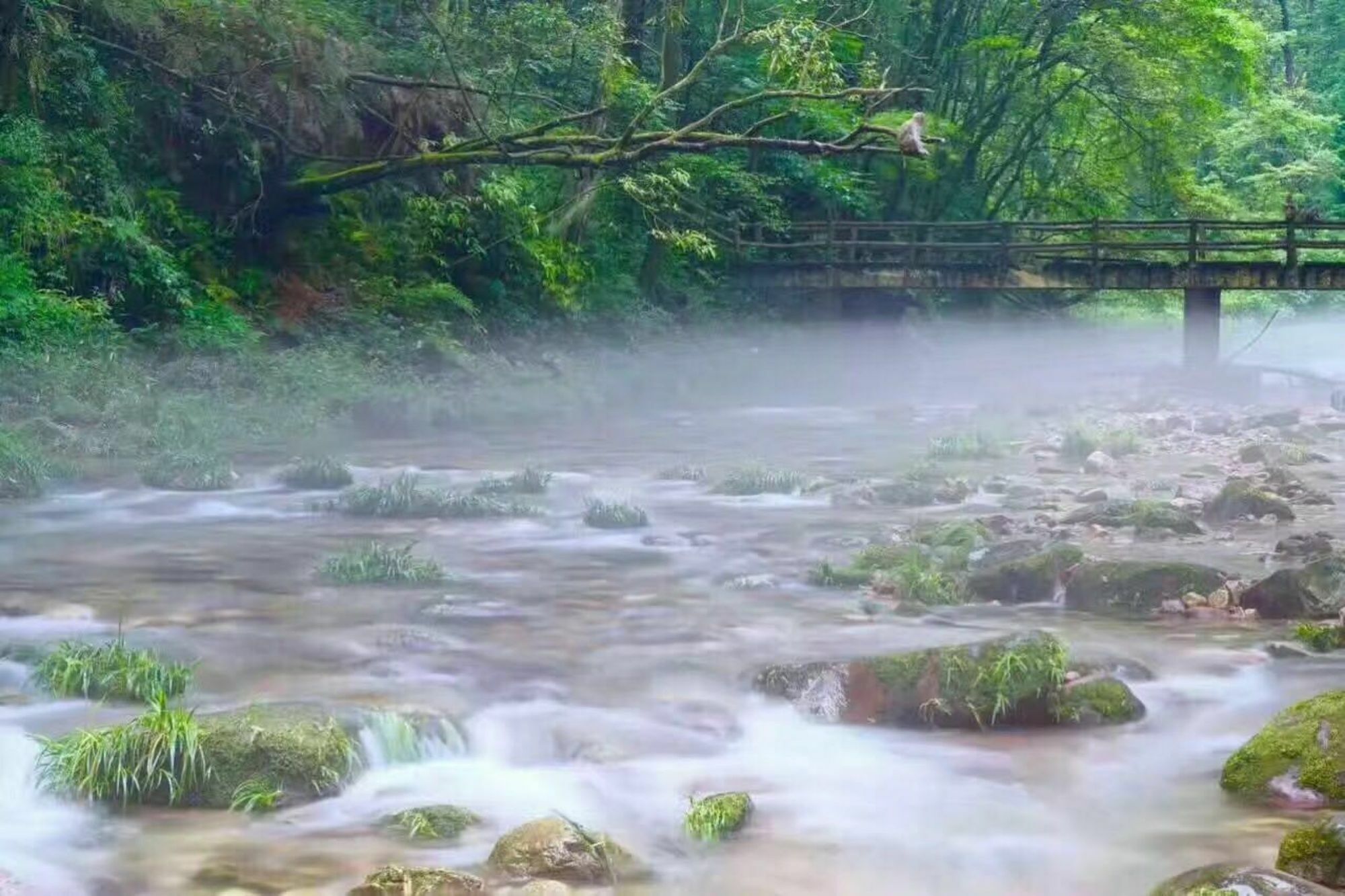 Zhangjiajie Yueranju Hostel Dış mekan fotoğraf